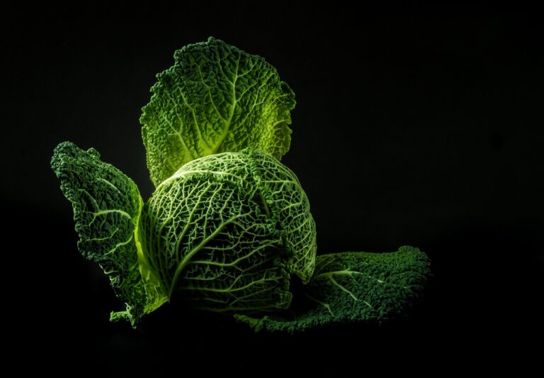 Bewusst essen: Wie Sie nachhaltig und ohne Verzicht abnehmen Bewusst essen: Wie Sie nachhaltig und ohne Verzicht abnehmen