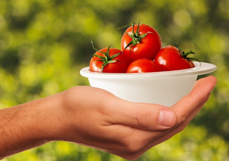 Meal Prep für Anfänger: So gelingt eine Woche gesundes Vorkochen Meal Prep für Anfänger: So gelingt eine Woche gesundes Vorkochen