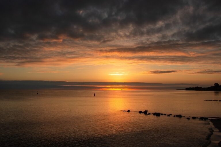 Vibrionen in warmen Badegewässern: Wer Wunden vor Nord- und Ostsee schützen sollte